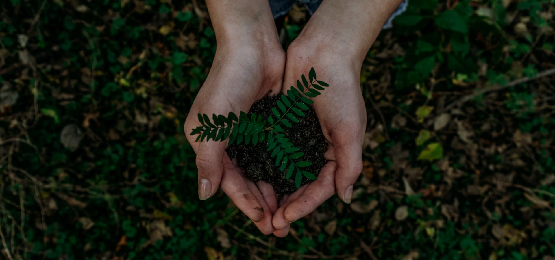 Sustainability